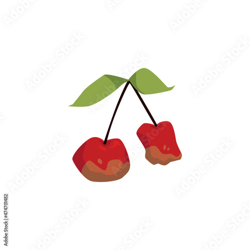 Spoiled rotten cherry berries with spots, flat vector illustration isolated.