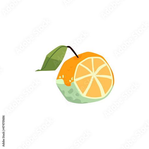 Half rotten orange with fungi, mildew in flat vector illustration isolated