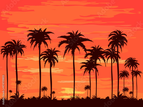 The evening on the beach Summer orange sky and coconut tree shadow. © Nastudio