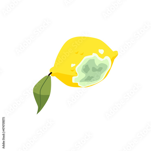 Old lemon with mold on it. Fungus damaged old citrus fruit, food waste cartoon vector icon. Lemon decay illustration.