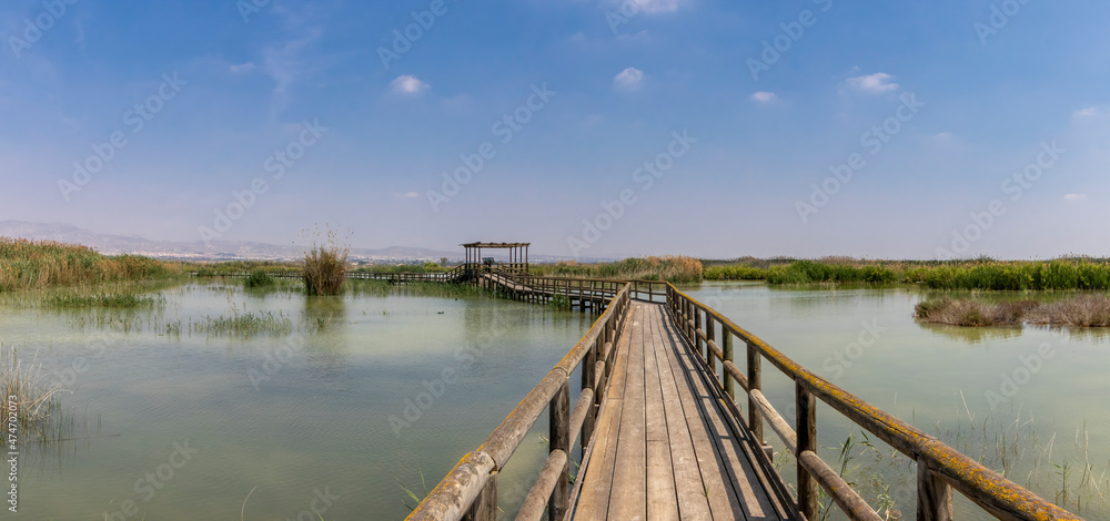 Fototapeta premium Natural park of the hondo in Elche, Alicante, spain.