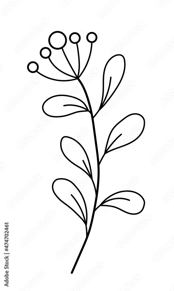 Vector sprig with leaves and berries in a minimalist style. Sprig isolated on white background. Floral elements. Hand-drawn botany. Vector elements for textile design and typography. Vector sprig with leaves and berries in a minimalist style. Sprig isolated on white background. Floral elements. Hand-drawn botany. Vector elements for textile design and typography.