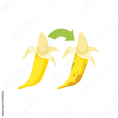 Yellow ripe banana with opened peel and spoiled rotten moldy banana in flat