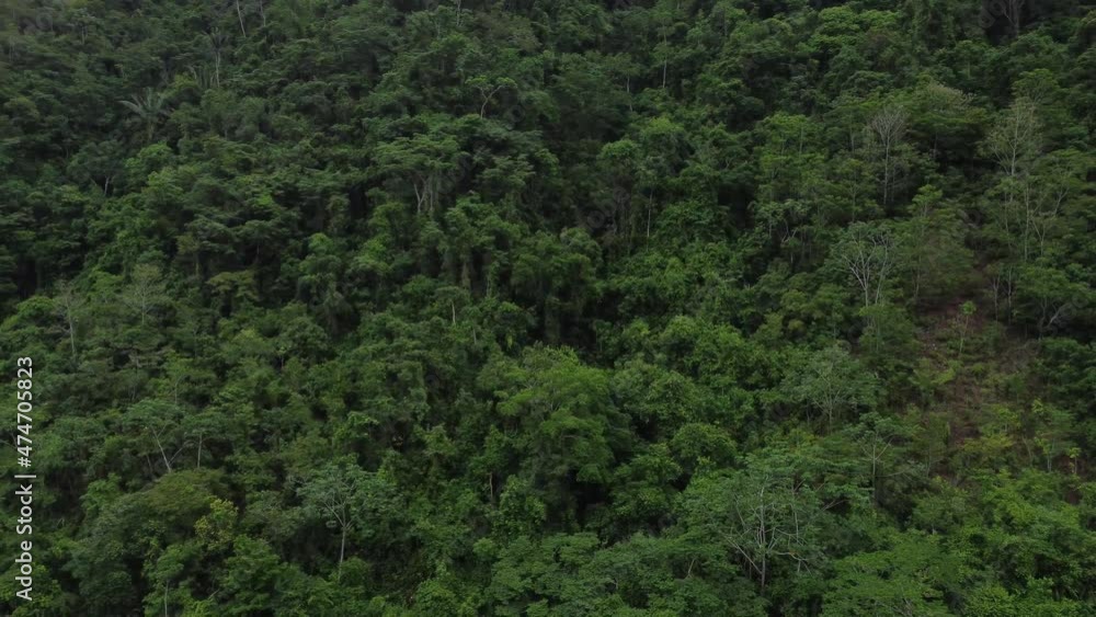 Paisaje de la selva en sudamerica, Perú. Paisaje de la selva en sudamerica, Perú.