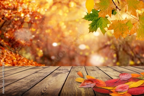 Wooden table with orange leaves autumn and fall background in beautiful nature