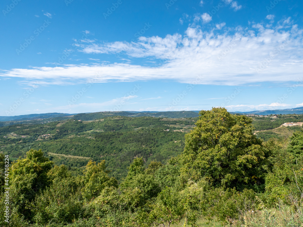 green Landscape in Istria in Croatia green Landscape in Istria in Croatia