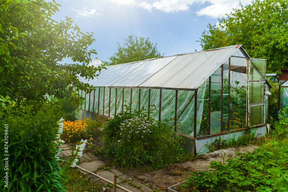 Traditional old greenhouse in the garden.