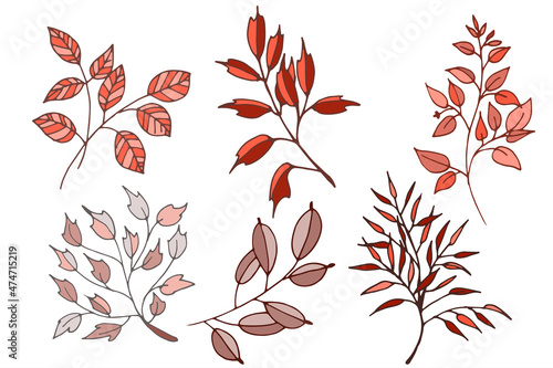 set of colored vector leaves