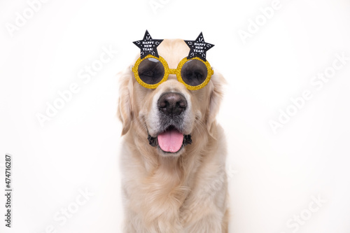 Portrait of a cute dog wearing glasses with the inscription Happy New Year. Golden Retriever wishes a Happy New Year 2022. Postcard with a pet.
