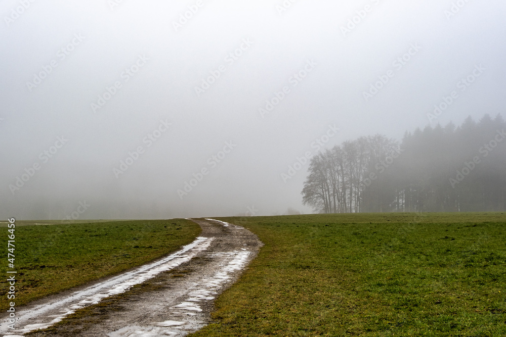 Vereister Feldweg auf einer Wiese bei Nebel