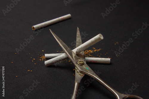 Canvastavla Cutting a cigarette. Smoking cessation. Healthy Lifestyle