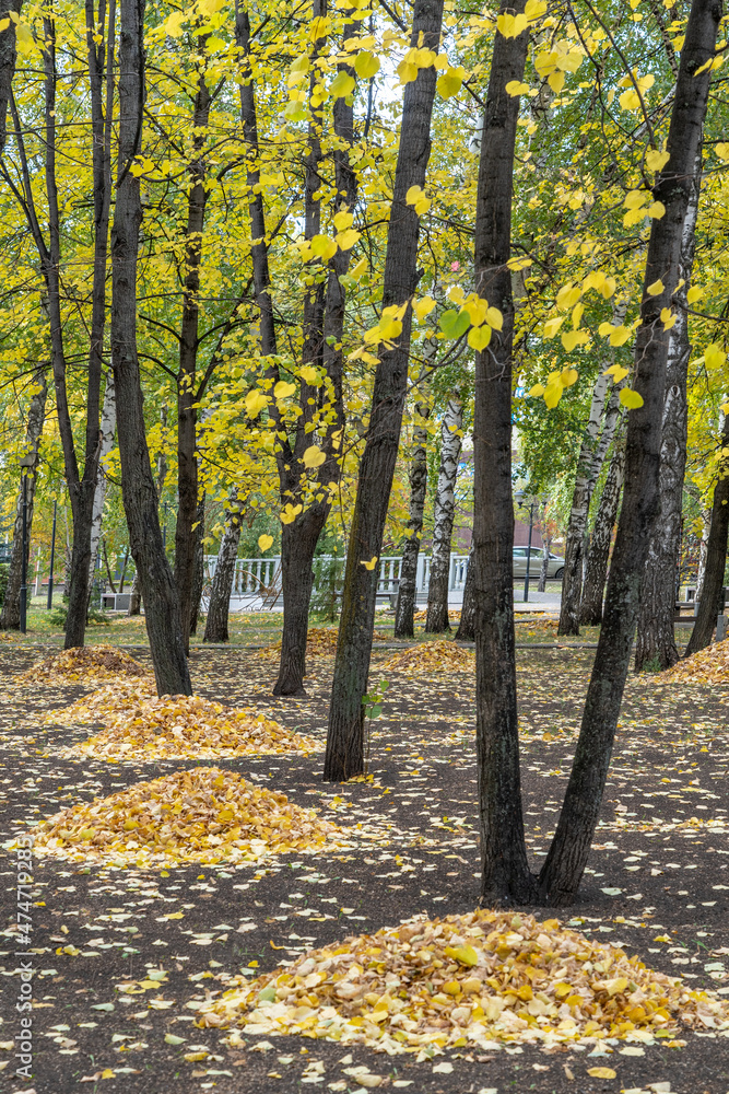 Autumn Park. Fallen leaves gathered in heaps between the tree trunks. Autumn Park. Fallen leaves gathered in heaps between the tree trunks.