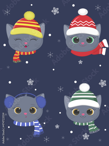 Set a collection of four cute kittens of the British breed in a winter hat and a scarf of different patterns on a blue background, snowflakes. Cartoon, flat style, vector.