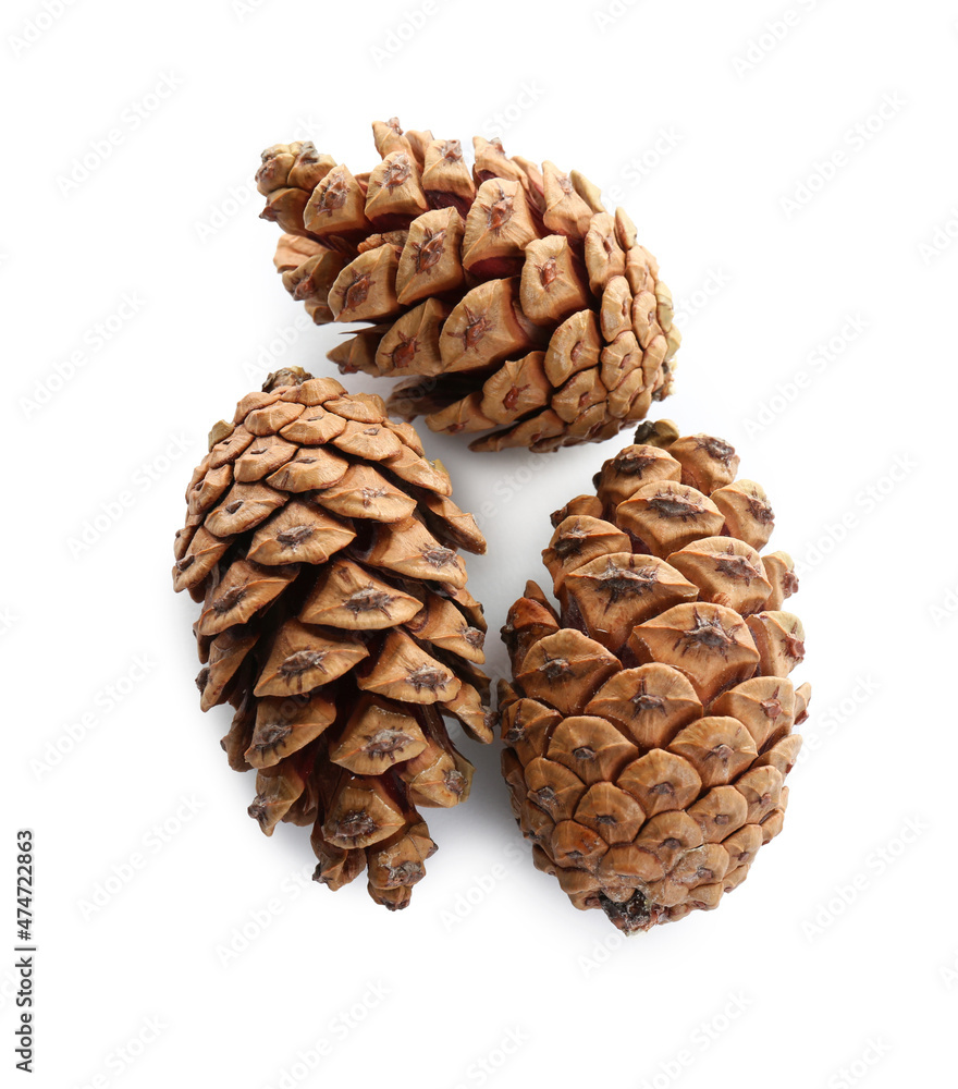 Beautiful pine cones on white background, top view Beautiful pine cones on white background, top view