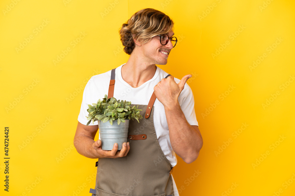 Gardener blonde man holding a plant isolated on yellow background pointing to the side to present a product Gardener blonde man holding a plant isolated on yellow background pointing to the side to present a product
