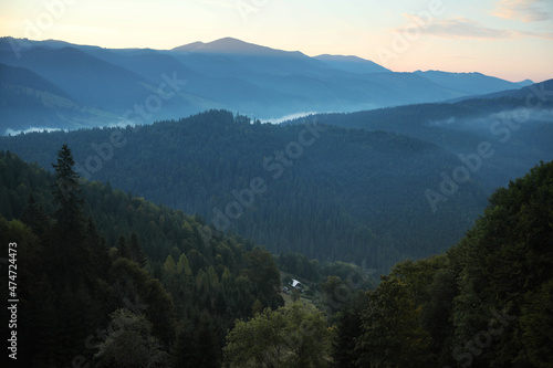 Amazing view of beautiful foggy mountains in morning