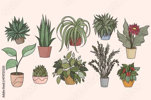 Collection of various indoor plants in pots. Colorful set of different green potted decorative houseplants for home or office. Floral decoration and gardening hobby concept. Flat vector illustration. 