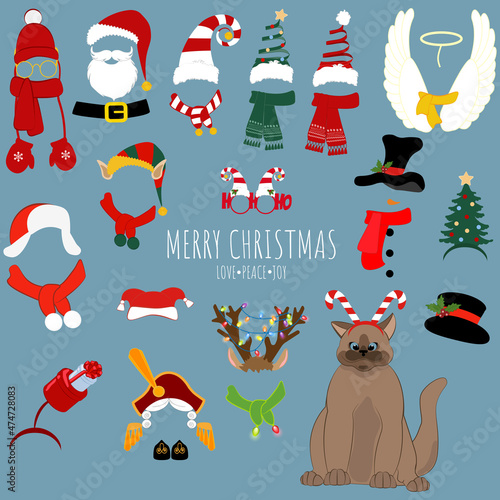 Cat in christmas hats and costumes for design