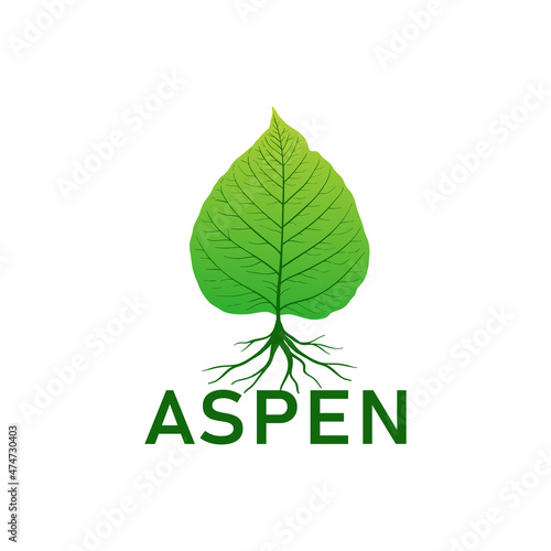 root aspen leaf logo