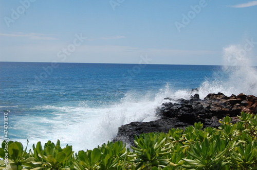 Hawaiian Wave 2