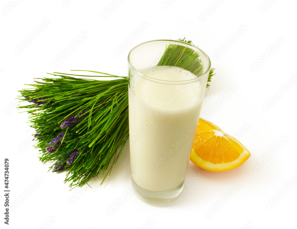 Glass of milk with orange and lavanda isolated Glass of milk with orange and lavanda isolated