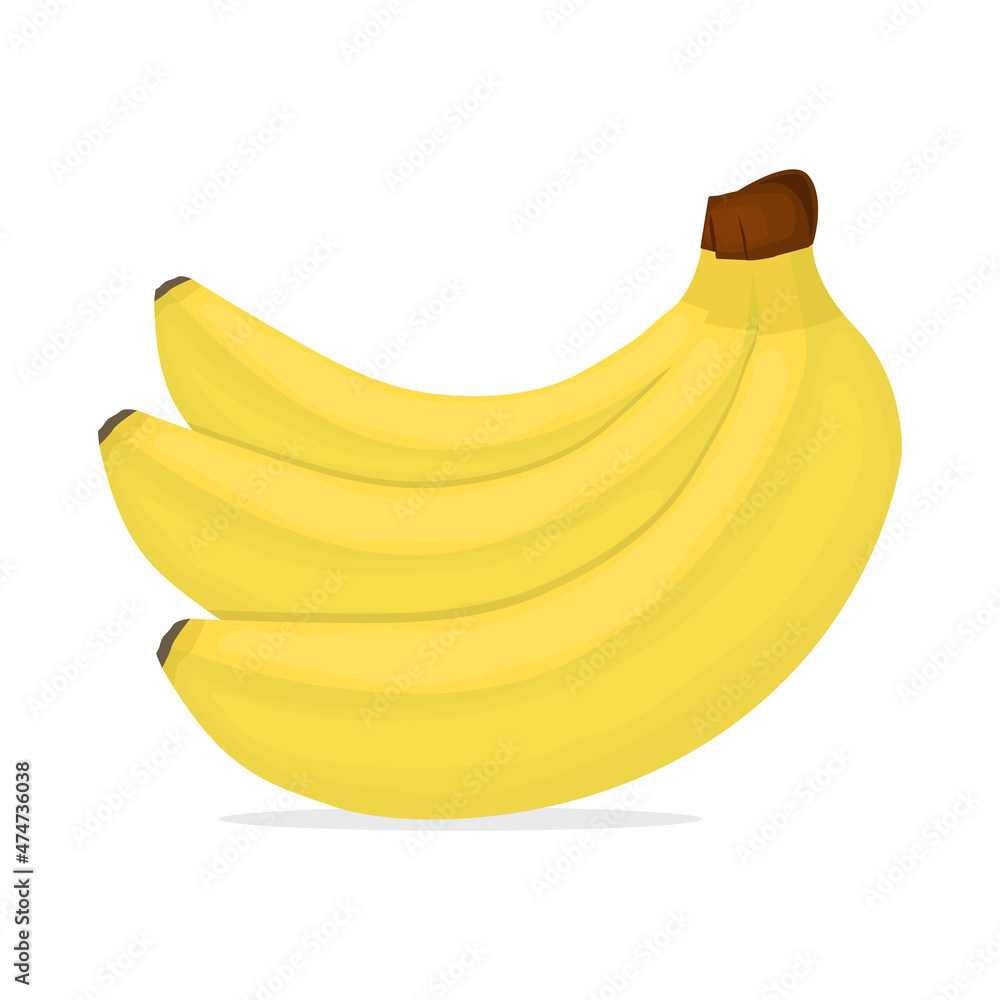Bunch of three bananas vector illustration