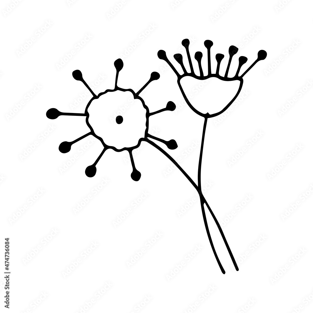 Abstract leaves and flowers doodle set vector illustration Abstract leaves and flowers doodle set vector illustration