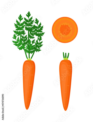 Carrots with tops, whole and slice vector set