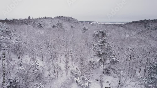 Aerial view of a snowy forest. Snowy treetops and the sea in the background. Billdals Park, Sweden. 4K drone footage.