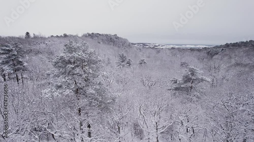 Aerial view of a snowy forest. Snowy treetops and the sea in the background. Billdals Park, Sweden. 4K drone footage.