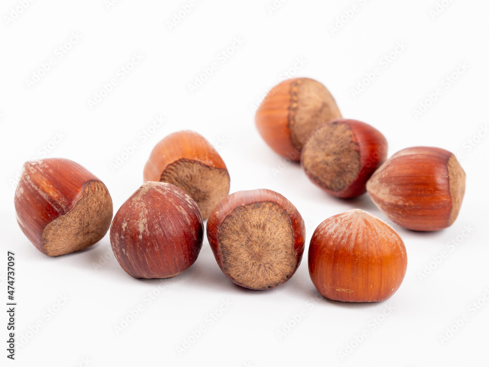 Hazelnuts on a white background. Hazelnuts on a white background.