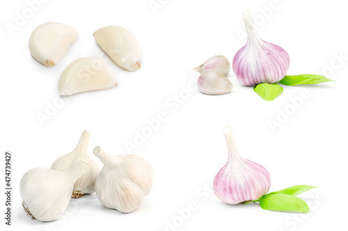 Collage of Garlic on a white background. Clipping path