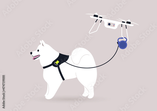 A flying drone copter walking a samoyed dog, new technologies in daily life, modern lifestyle concept