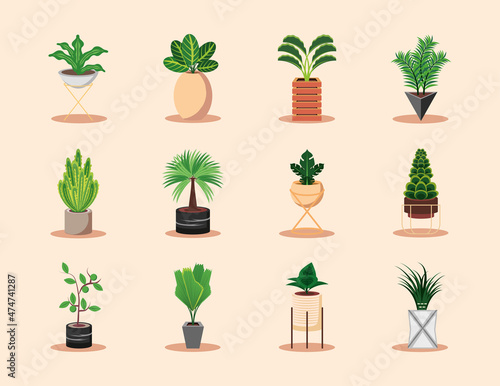 icons potted plants