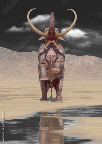 mammoth in the desert after rain is standing up with copy space