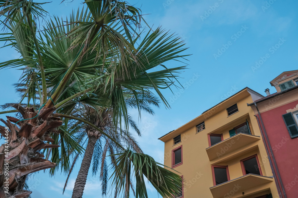 palm trees in front of a colorful hotel building across blue sky. Summer vacation mood, background