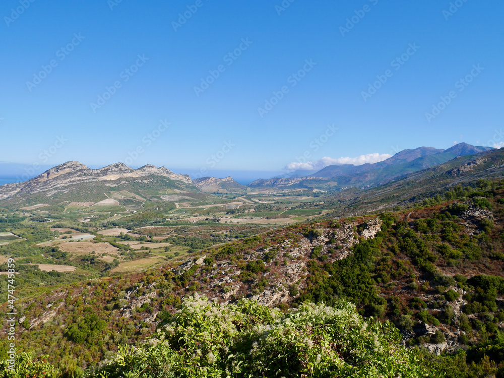 Aerial view of vineyards in Patrimonio hills, Corsica, France. Aerial view of vineyards in Patrimonio hills, Corsica, France.