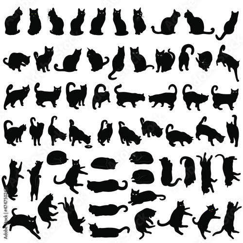 Big set of black vector silhouettes of cats in different poses. Icon of cats isolated on white background.