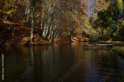Autumn forest and lake with leaf