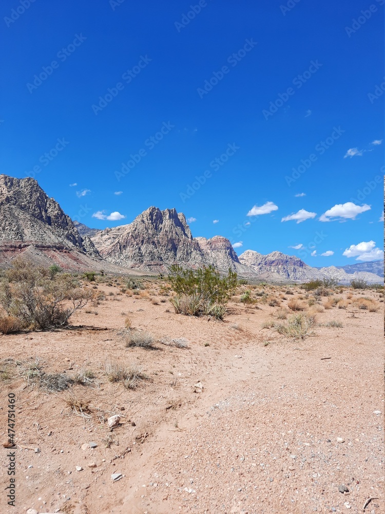 Nevada Desert 2