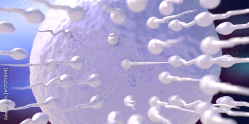 Insemination on microscope. Sperms moving to ovum. Beginning of new human life. 3d illustration