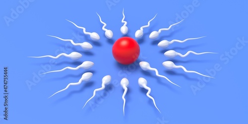 Fotografija Fertilization