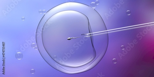 Artificial insemination, IVF in vitro fertilization. Ovum and needle on blue color. 3d illustration photo