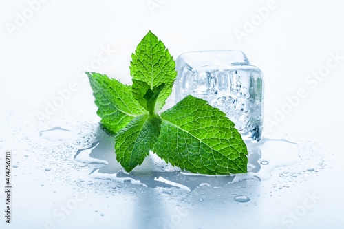 Foto Top view of mint leaves with ice cubes and water drops on pastel background