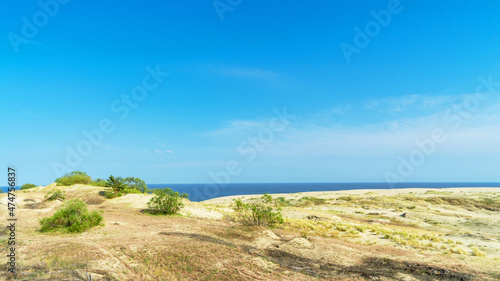 Sand dune Efa on the Curonian Spit, Baltic Sea, Kaliningrad region, Russia. Rare bushes on a sand dune on a sunny day in summer photo