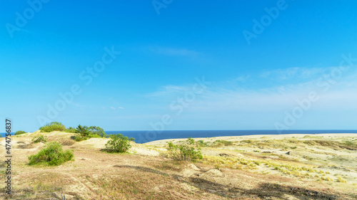 Sand dune Efa on the Curonian Spit, Baltic Sea, Kaliningrad region, Russia. Rare bushes on a sand dune on a sunny day in summer