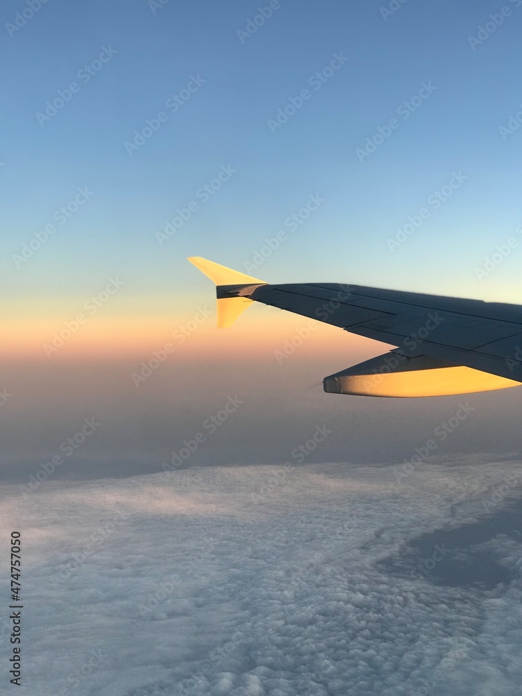 Fototapeta premium Rainbow Flight