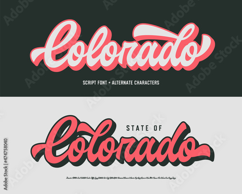 Photography Original Brush Script Font with Alternate Characters. Vector