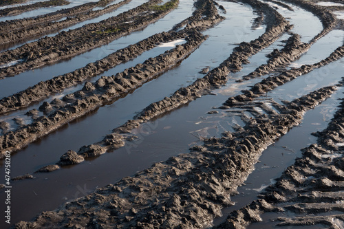 Canvas-taulu Tire tracks of heavy agricultural machinery filled with frozen puddles on a mudd