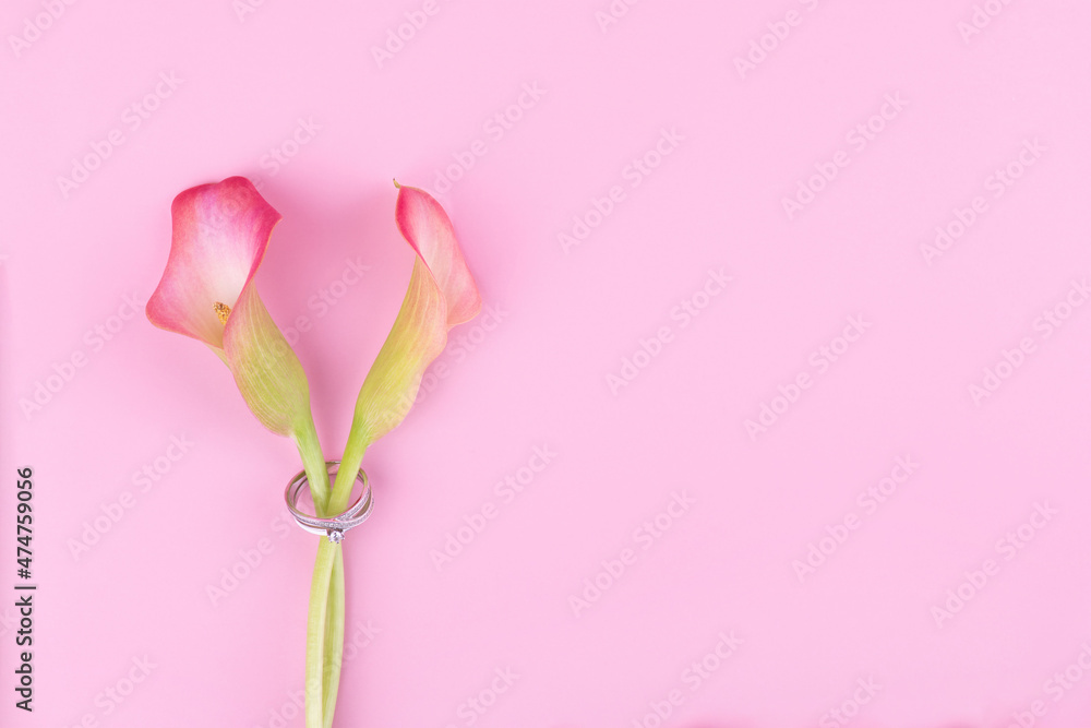 Two pink Calla lilies with engagement ring on pink background for Valentines day card or Valentines gift, birthday, dating, anniversary. Pink calla flowers texture with copy space Two pink Calla lilies with engagement ring on pink background for Valentines day card or Valentines gift, birthday, dating, anniversary. Pink calla flowers texture with copy space